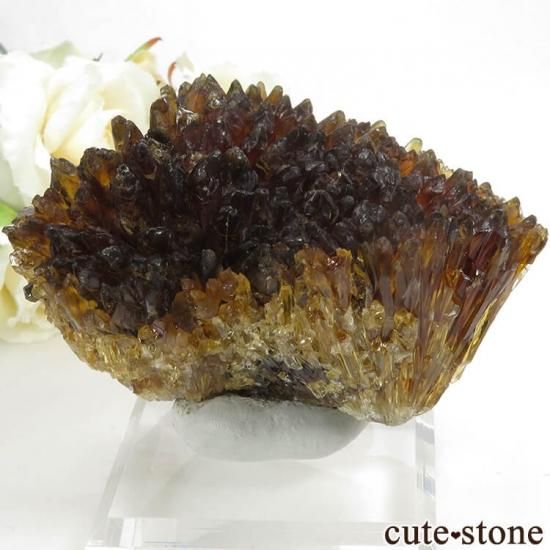  ʻ ո륵ȤΥ饹ʸС161gμ̿1 cute stone