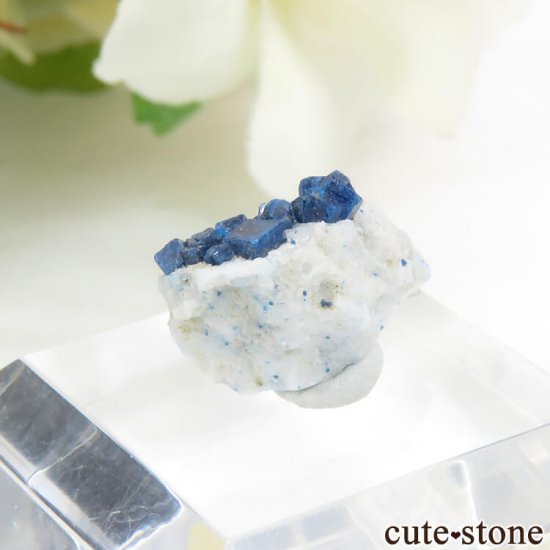 ᥭ ܥ쥢Ȥդ뾽ʸС5.3ctμ̿1 cute stone