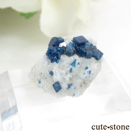 ᥭ ܥ쥢Ȥդ뾽ʸС5.3ctμ̿3 cute stone