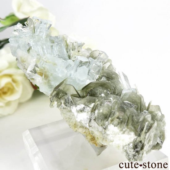 ѥ ޥդ뾽ʸС 181gμ̿2 cute stone