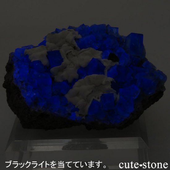 󥰥 Diana Mariaۻ ָե饤Ȥդ뾽ʸС106gμ̿7 cute stone