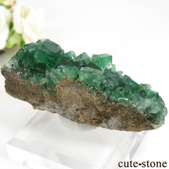 󥰥 Diana Mariaۻ ָե饤Ȥդ뾽ʸС123gμ̿1 cute stone