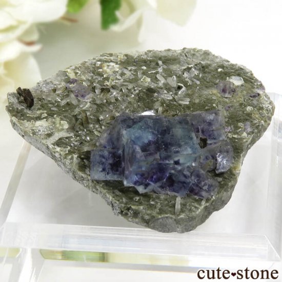  󥴥뻺 ֥롼ե饤ȡĤդ뾽ʸС 29.8gμ̿0 cute stone