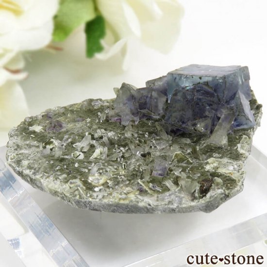  󥴥뻺 ֥롼ե饤ȡĤդ뾽ʸС 29.8gμ̿1 cute stone
