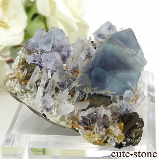  󥴥뻺 ֥롼ե饤ȡĤդ뾽ʸС 62.8gμ̿0 cute stone