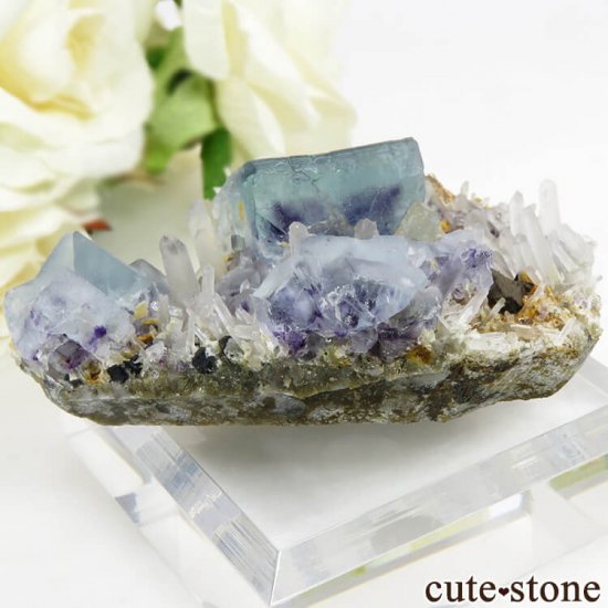  󥴥뻺 ֥롼ե饤ȡĤդ뾽ʸС 62.8gμ̿1 cute stone