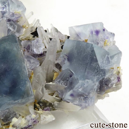  󥴥뻺 ֥롼ե饤ȡĤդ뾽ʸС 62.8gμ̿2 cute stone
