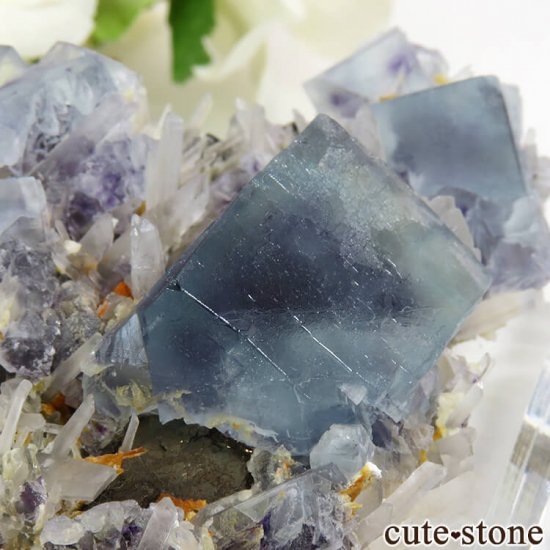  󥴥뻺 ֥롼ե饤ȡĤդ뾽ʸС 62.8gμ̿4 cute stone