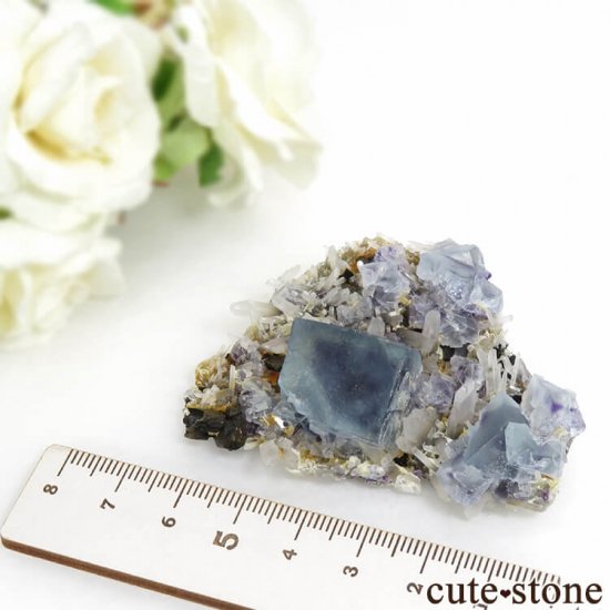  󥴥뻺 ֥롼ե饤ȡĤդ뾽ʸС 62.8gμ̿5 cute stone