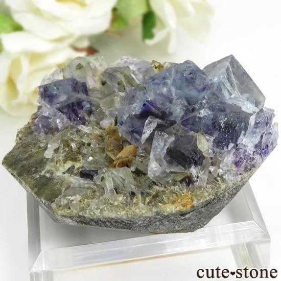 󥴥뻺 ֥롼ե饤ȡĤդ뾽ʸС 83gμ̿1 cute stone