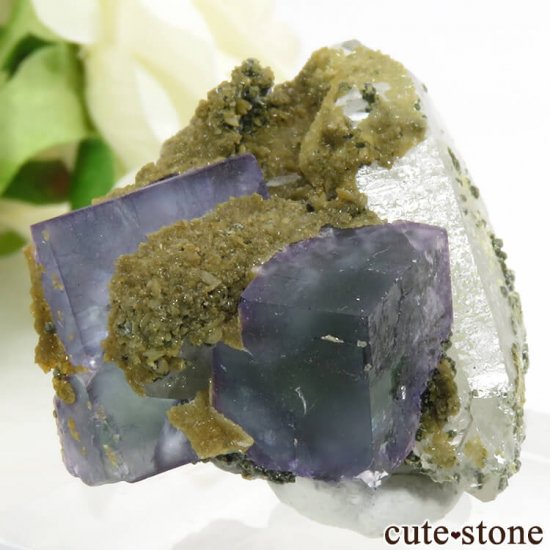 䥪󥷥 ֥롼꡼ե饤ȡ 24.7gμ̿0 cute stone
