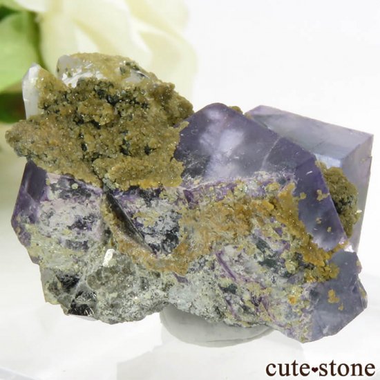 䥪󥷥 ֥롼꡼ե饤ȡ 24.7gμ̿1 cute stone