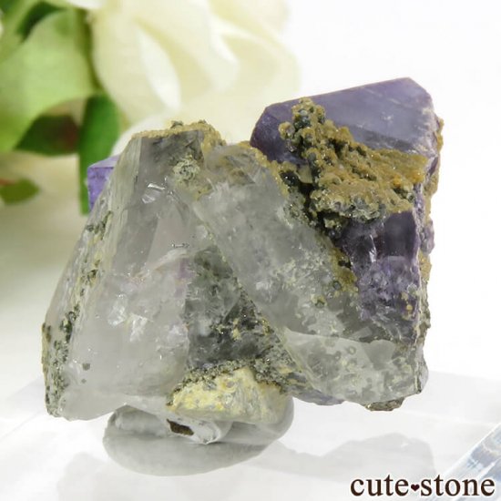 䥪󥷥 ֥롼꡼ե饤ȡ 24.7gμ̿2 cute stone