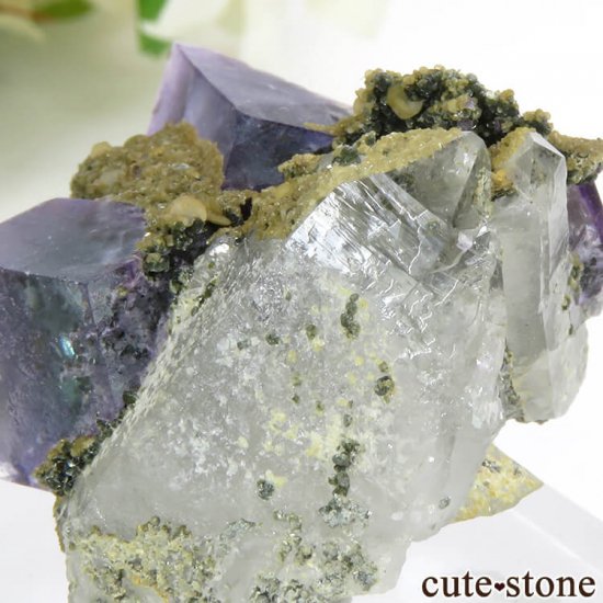 䥪󥷥 ֥롼꡼ե饤ȡ 24.7gμ̿3 cute stone