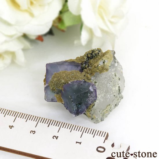 䥪󥷥 ֥롼꡼ե饤ȡ 24.7gμ̿5 cute stone
