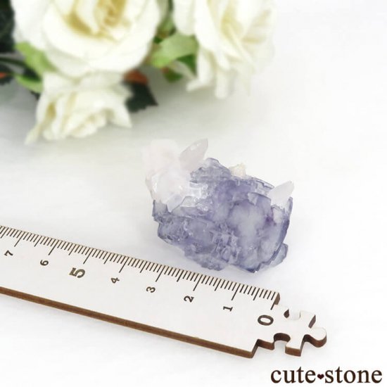 䥪󥷥 ֥롼ե饤ȡ륵 32.2gμ̿4 cute stone