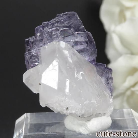 䥪󥷥 ѡץե饤ȡ 10.9gμ̿1 cute stone