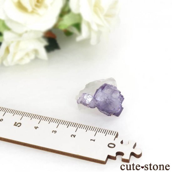 䥪󥷥 ѡץե饤ȡ 10.9gμ̿4 cute stone