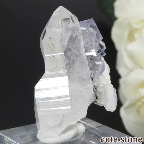 䥪󥷥 ֥롼ե饤ȡ 10.4gμ̿0 cute stone