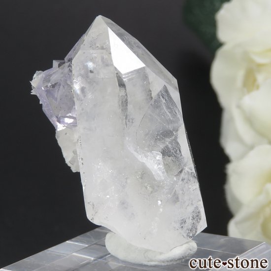 䥪󥷥 ֥롼ե饤ȡ 10.4gμ̿1 cute stone