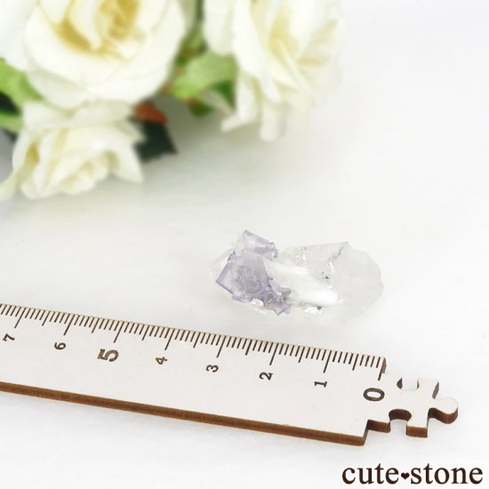 䥪󥷥 ֥롼ե饤ȡ 10.4gμ̿4 cute stone