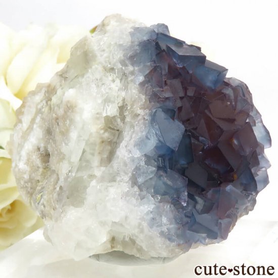 ˥塼ᥭ ֥롼ե饤&Ĥθ 89gμ̿0 cute stone
