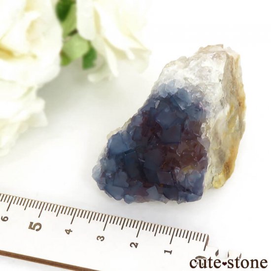˥塼ᥭ ֥롼ե饤&Ĥθ 89gμ̿4 cute stone