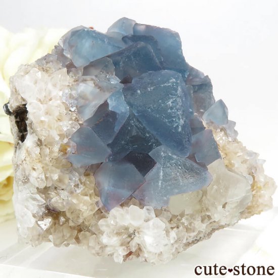 ˥塼ᥭ ֥롼ե饤&Ĥθ 128gμ̿0 cute stone
