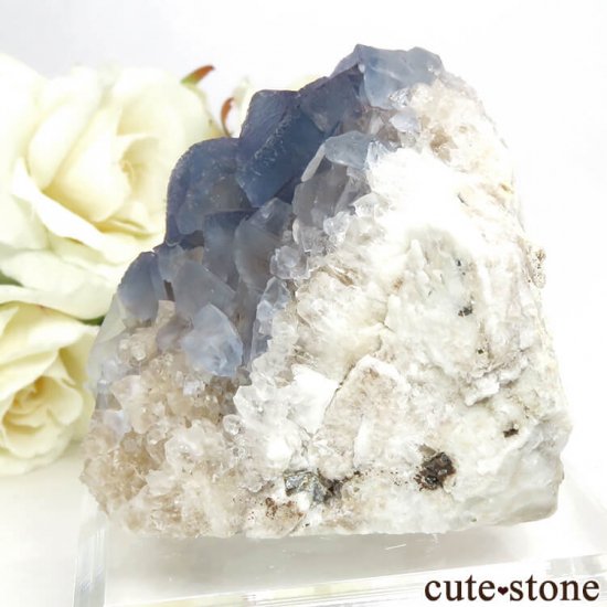 ˥塼ᥭ ֥롼ե饤&Ĥθ 128gμ̿2 cute stone