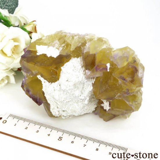 Υ Cave-in-Rock ߥѡץե饤ȡʷСˤθ 578g μ̿7 cute stone