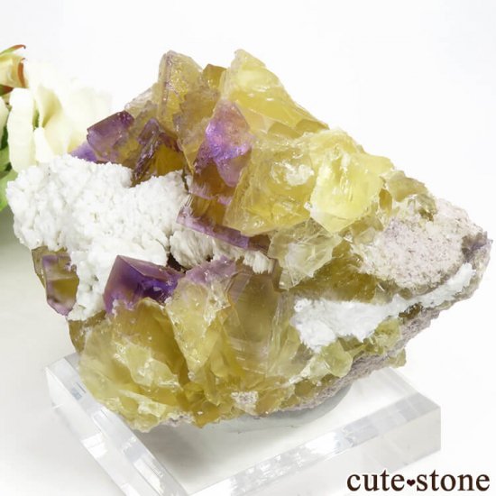 Υ Cave-in-Rock ߥѡץե饤ȡʷСˤθ 512g μ̿2 cute stone