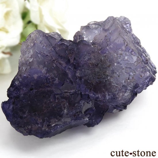ᥭ Tule Mine ѡץե饤Ȥη뾽ʸС360gμ̿0 cute stone
