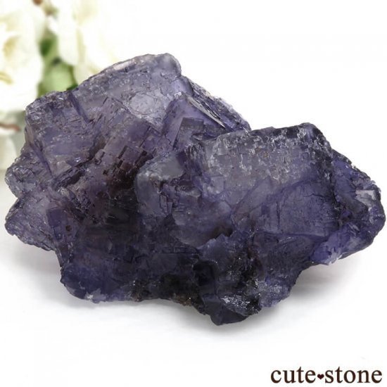 ᥭ Tule Mine ѡץե饤Ȥη뾽ʸС360gμ̿1 cute stone