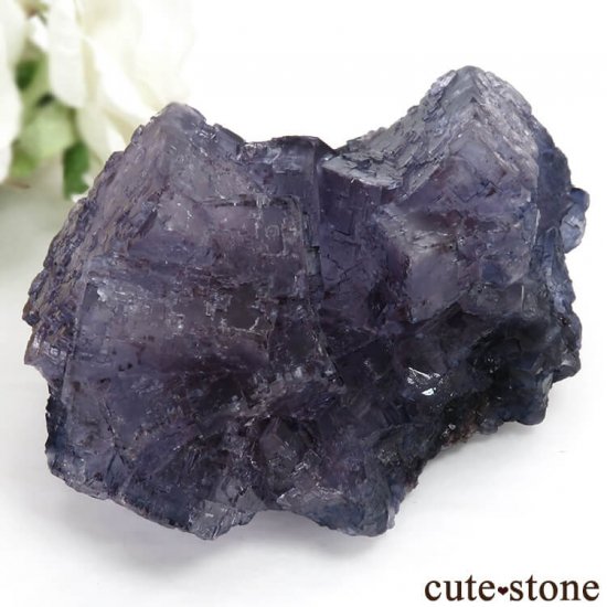 ᥭ Tule Mine ѡץե饤Ȥη뾽ʸС360gμ̿2 cute stone