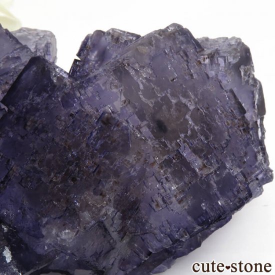 ᥭ Tule Mine ѡץե饤Ȥη뾽ʸС360gμ̿3 cute stone