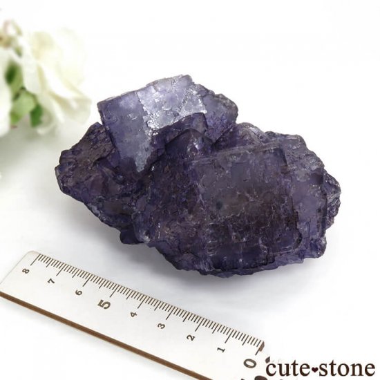ᥭ Tule Mine ѡץե饤Ȥη뾽ʸС360gμ̿5 cute stone