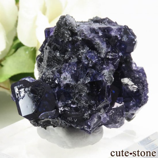  ʡʻѡץ֥롼ե饤Ȥη뾽ʸС 31gμ̿0 cute stone