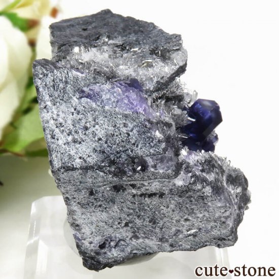  ʡʻѡץ֥롼ե饤Ȥη뾽ʸС 85gμ̿0 cute stone