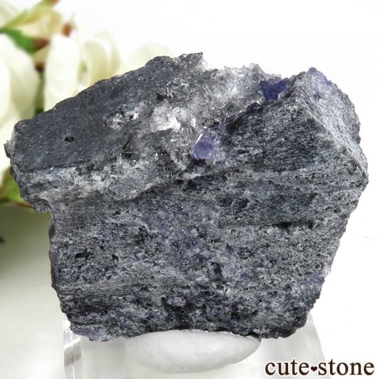  ʡʻѡץ֥롼ե饤Ȥη뾽ʸС 85gμ̿1 cute stone