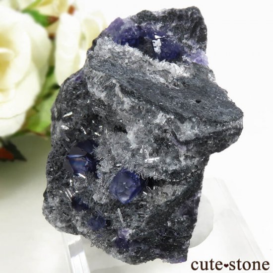  ʡʻѡץ֥롼ե饤Ȥη뾽ʸС 85gμ̿2 cute stone