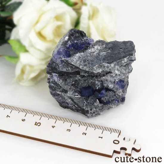  ʡʻѡץ֥롼ե饤Ȥη뾽ʸС 85gμ̿5 cute stone