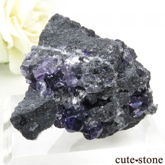  ʡʻѡץ֥롼ե饤Ȥη뾽ʸС 62gμ̿0 cute stone