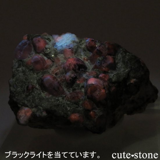 եʥȤդ 61.5gμ̿4 cute stone