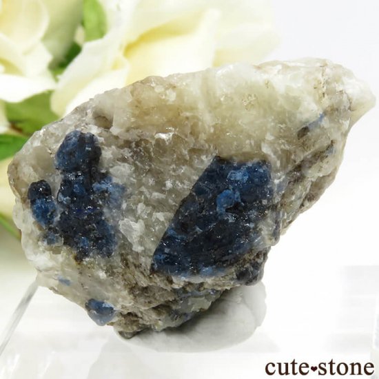 եʥȤդ 22.8gμ̿1 cute stone