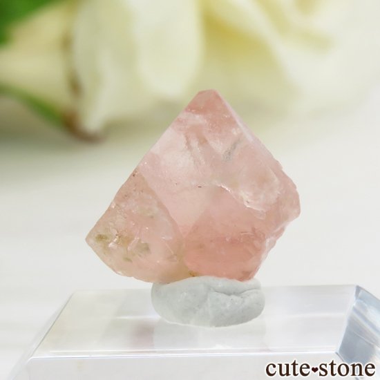 ե ֥ ԥ󥯥ե饤Ȥη뾽ʸС 5.9ctμ̿2 cute stone