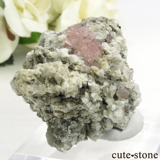 ե ֥ ԥ󥯥ե饤Ȥդ뾽ʸС 33.5gμ̿0 cute stone