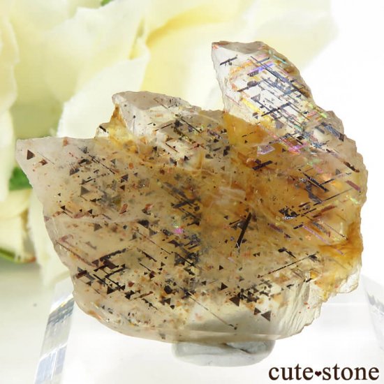 쥤ܡƥ󥹥ȡΥ饤ʸС4.9gμ̿0 cute stone
