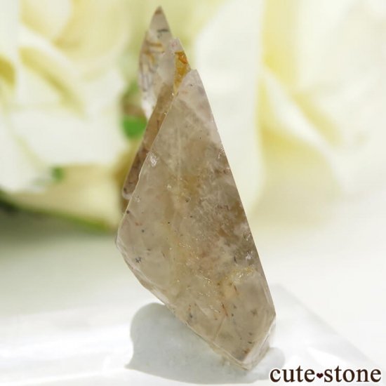쥤ܡƥ󥹥ȡΥ饤ʸС4.9gμ̿3 cute stone