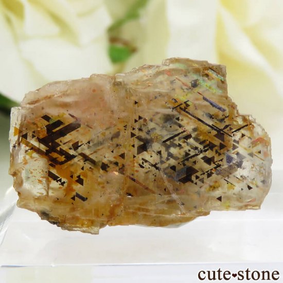 쥤ܡƥ󥹥ȡΥ饤ʸС2.6gμ̿0 cute stone