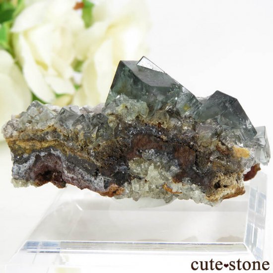 󥰥 Billing Hills Mine ե饤Ȥդ뾽ʸС33.6gμ̿1 cute stone